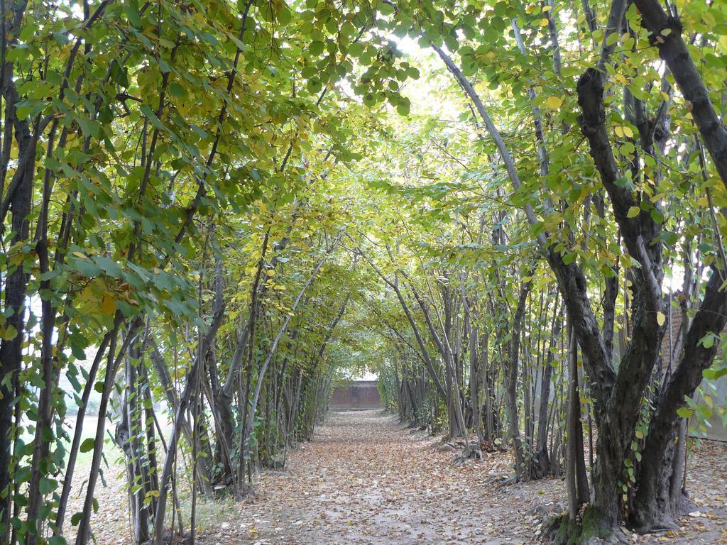 Al Concerto Bed & Breakfast San Benigno Canavese ภายนอก รูปภาพ