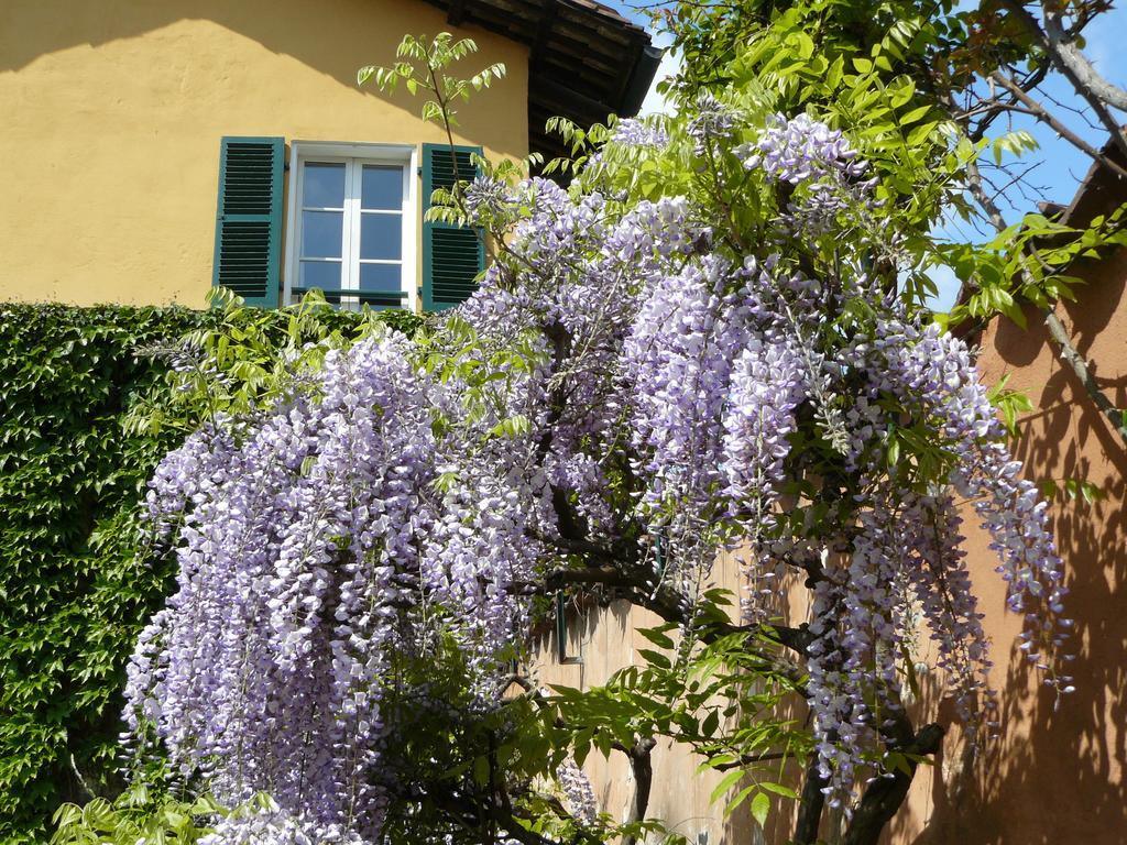 Al Concerto Bed & Breakfast San Benigno Canavese ภายนอก รูปภาพ
